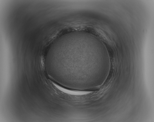 X0000112021298200908101354