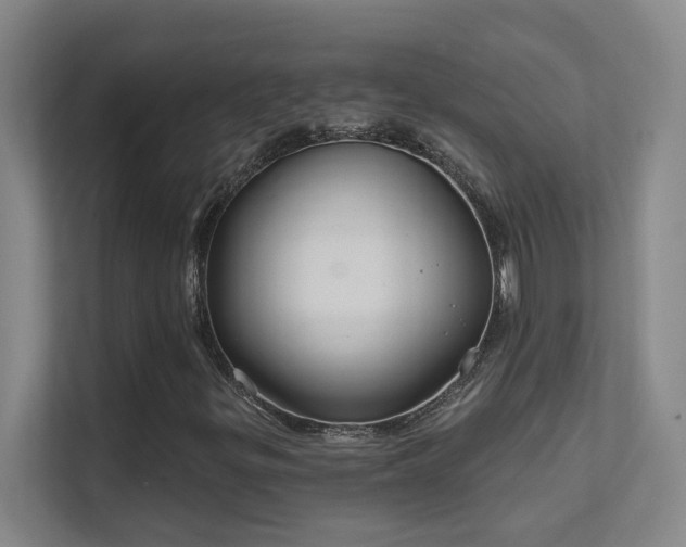 X0000112021299200908101354