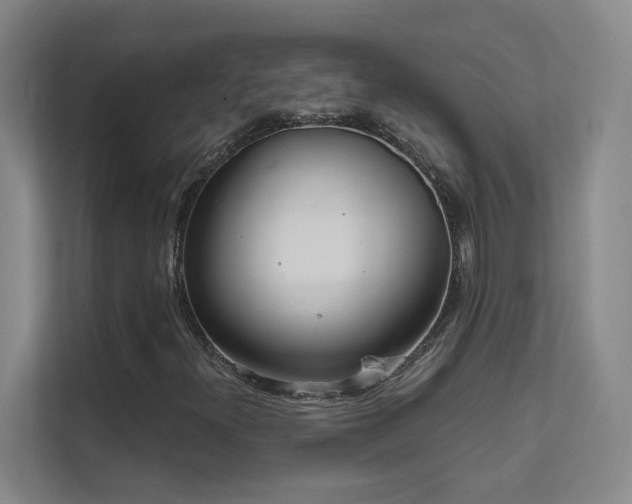 X0000112021300200908101354