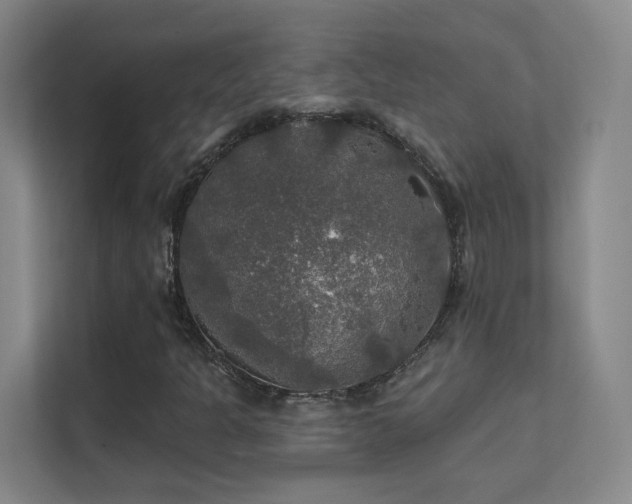 X0000112021301200908101354