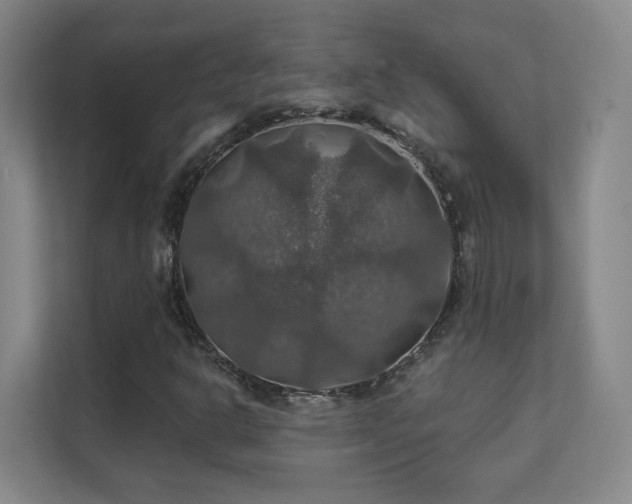 X0000112021302200908101354