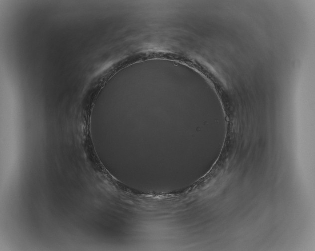 X0000112021303200908101354