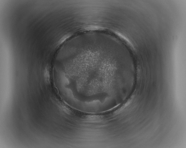 X0000112021305200908101354