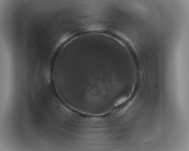 X0000112021306200908101354