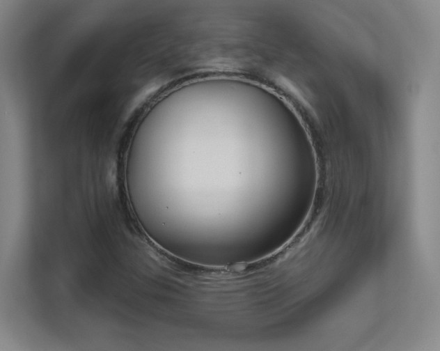 X0000112021307200908101354