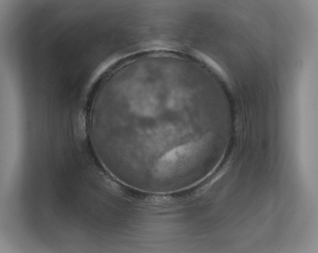 X0000112021310200908101354