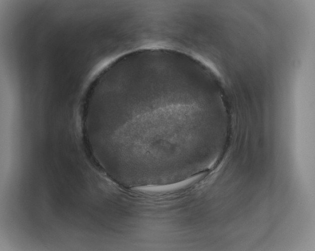 X0000112021311200908101354