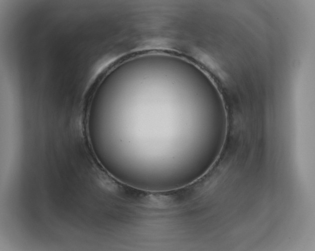 X0000112021312200908101354