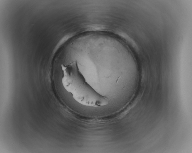 X0000112021314200908101354