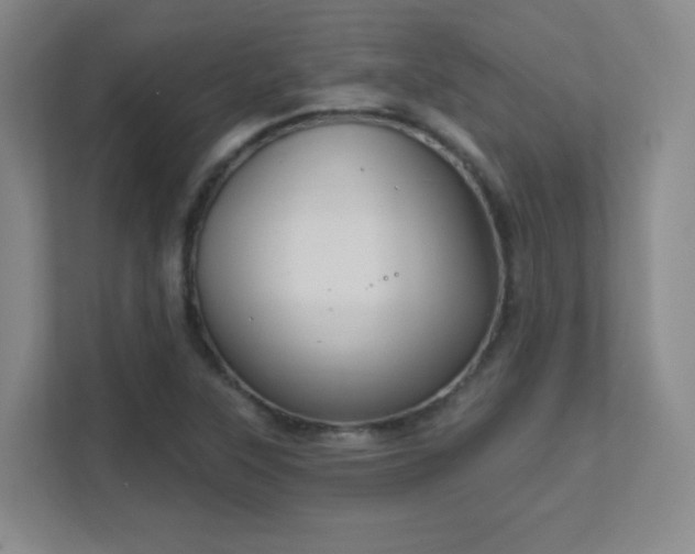 X0000112021315200908101354