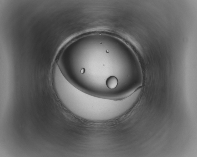 X0000112021316200908101354