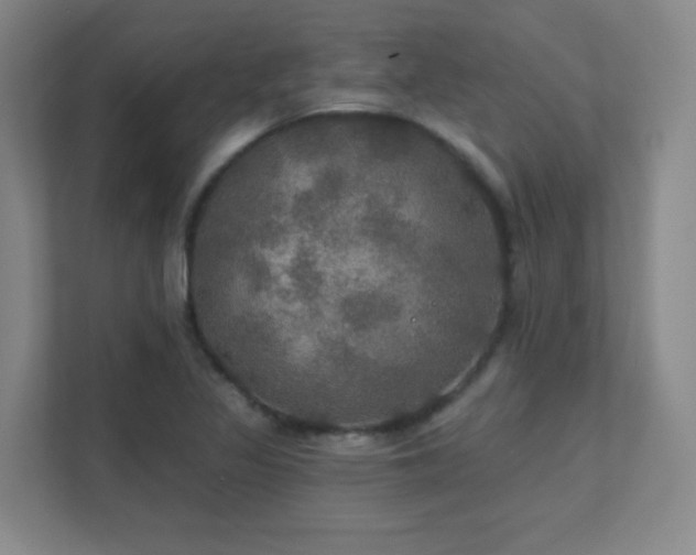 X0000112021317200908101354