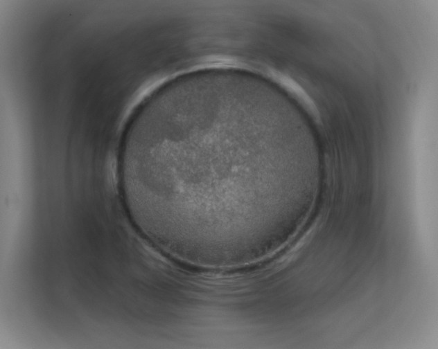 X0000112021318200908101354