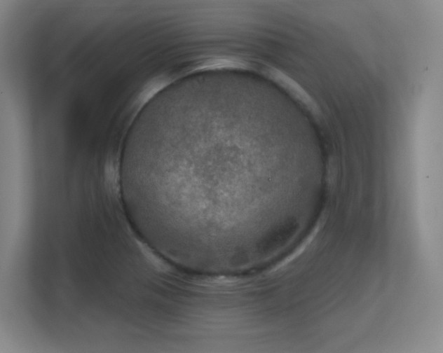 X0000112021321200908101354