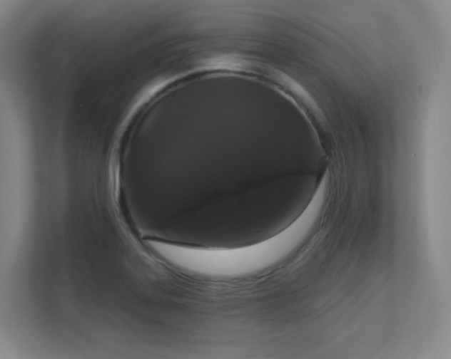 X0000112021323200908101354