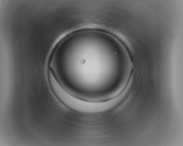 X0000112021326200908101354