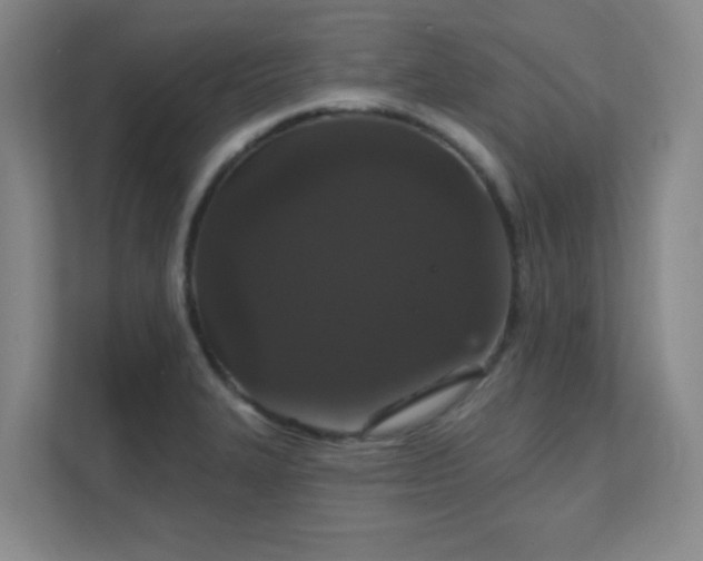 X0000112021327200908101354