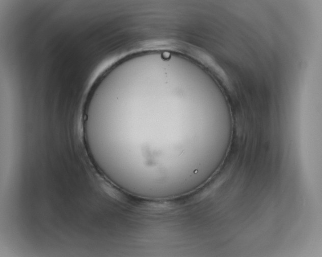 X0000112021328200908101354