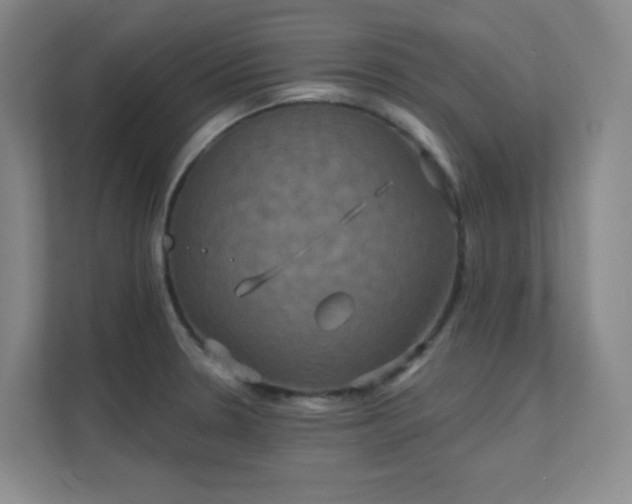 X0000112021330200908101354