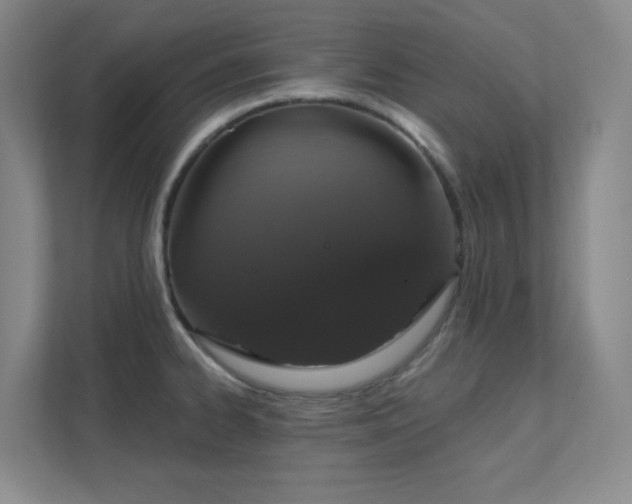 X0000112021334200908101354