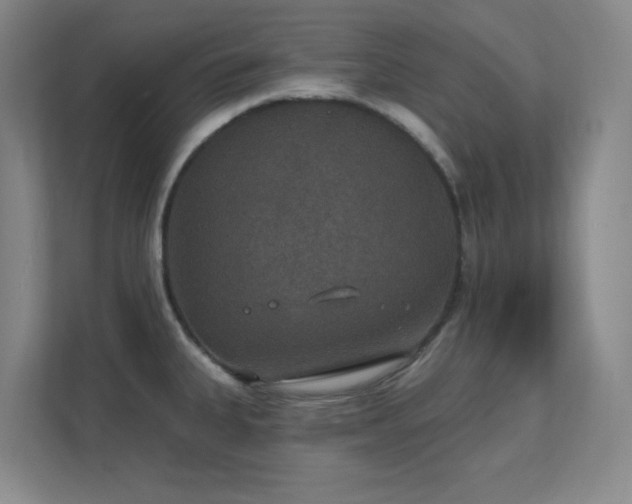 X0000112021335200908101354