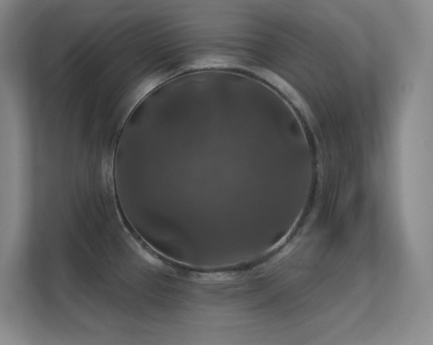 X0000112021337200908101354