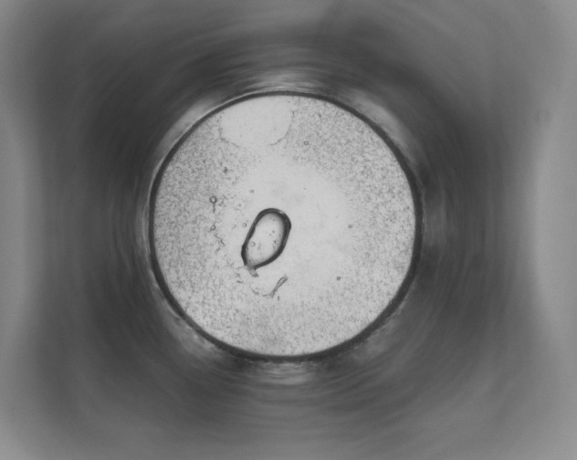 X0000112021338200908101354