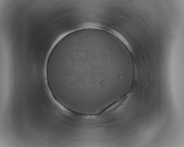 X0000112021339200908101354