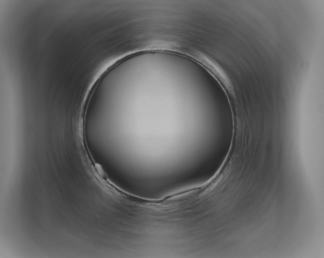 X0000112021340200908101354