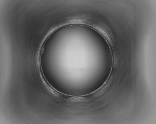 X0000112021342200908101354