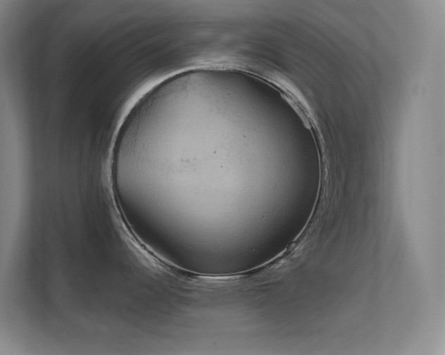 X0000112021344200908101354