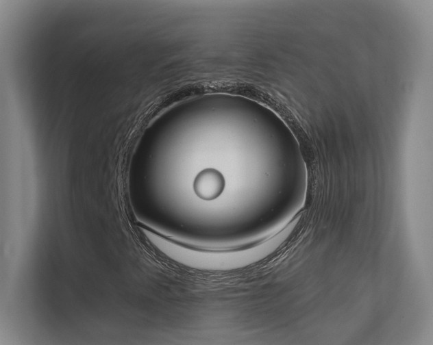 X0000112021345200908101354