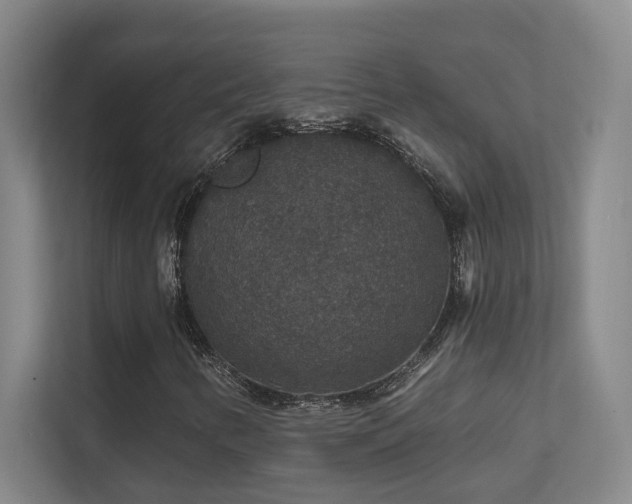 X0000112021346200908101354