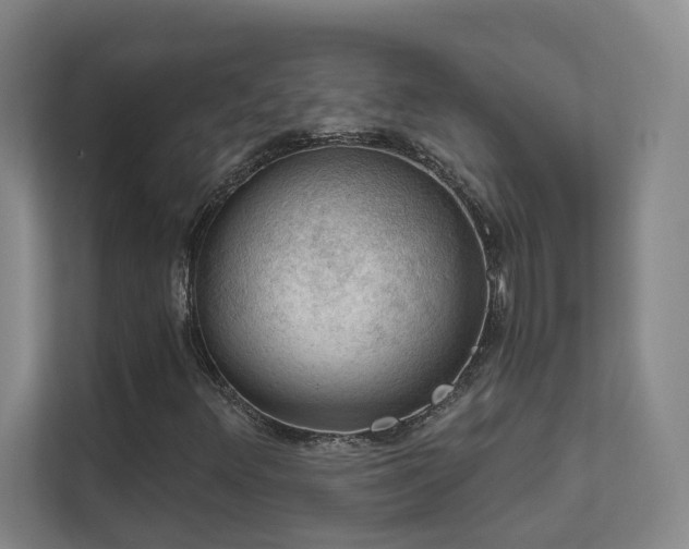 X0000112021348200908101354