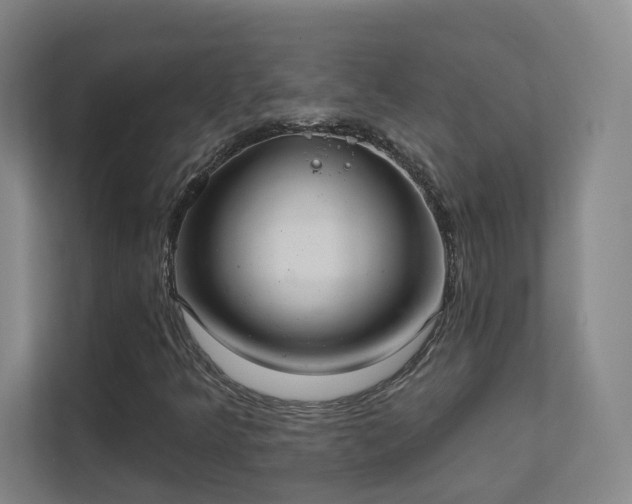 X0000112021349200908101354