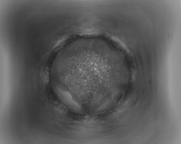 X0000112021350200908101354