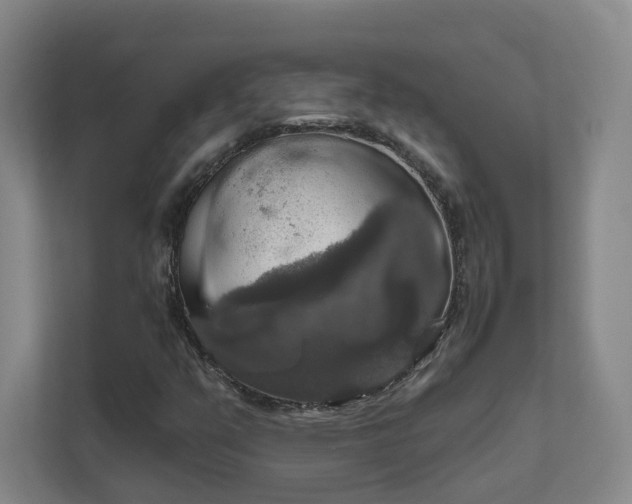 X0000112021351200908101354