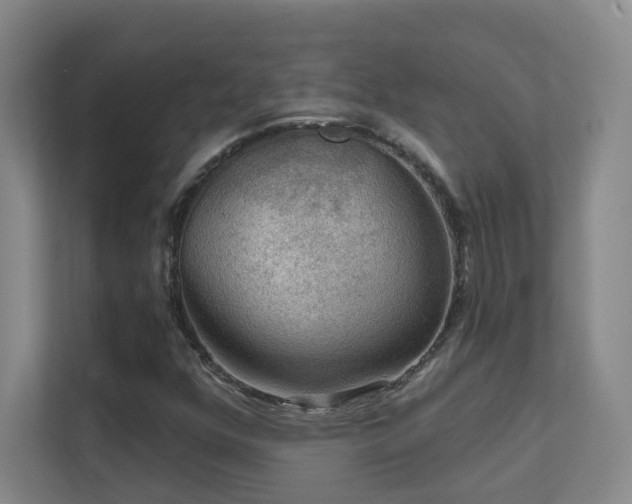 X0000112021352200908101354