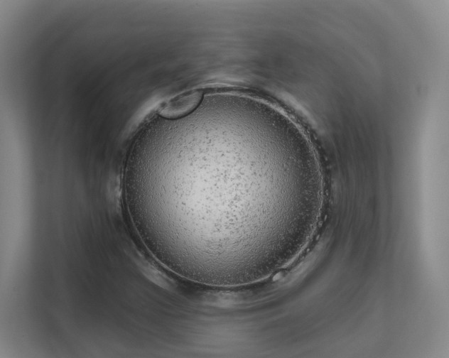 X0000112021355200908101353