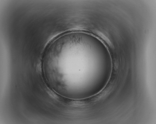 X0000112021356200908101353