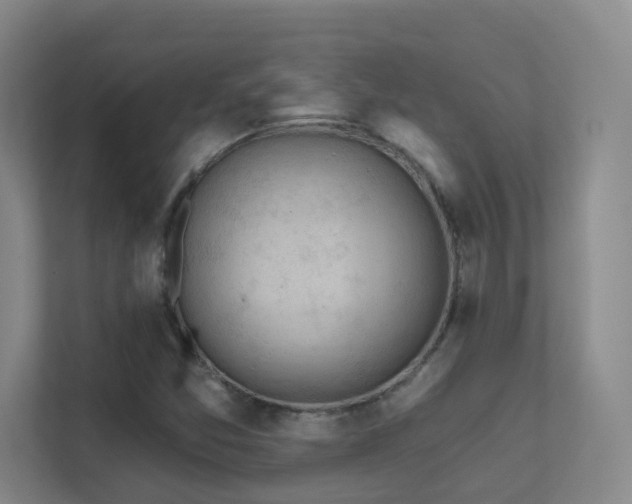 X0000112021357200908101353