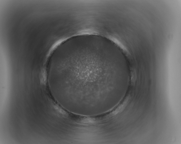 X0000112021358200908101353