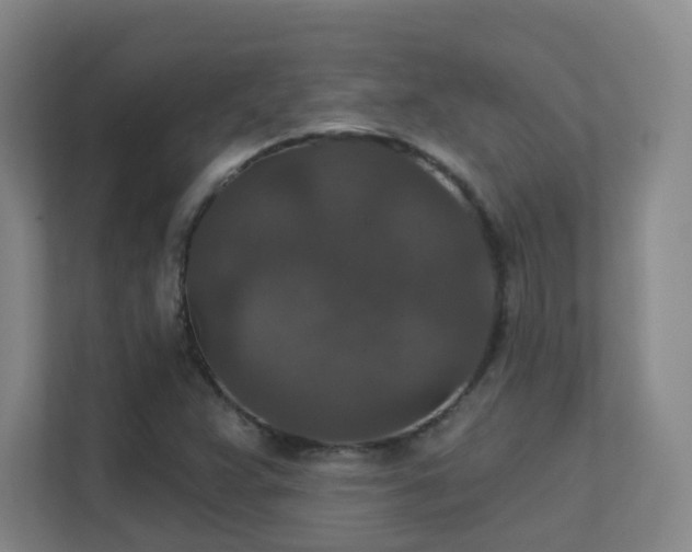 X0000112021359200908101353