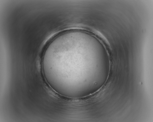 X0000112021360200908101353