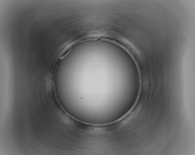 X0000112021361200908101353