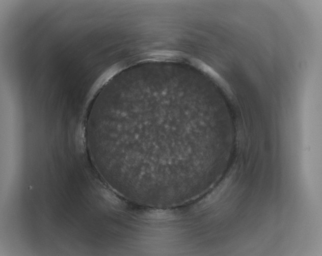 X0000112021362200908101353