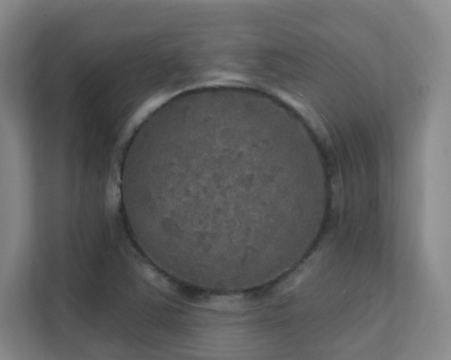 X0000112021363200908101353