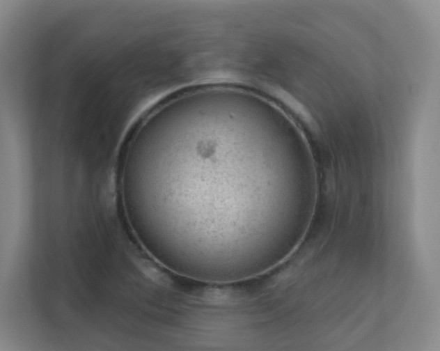 X0000112021364200908101353