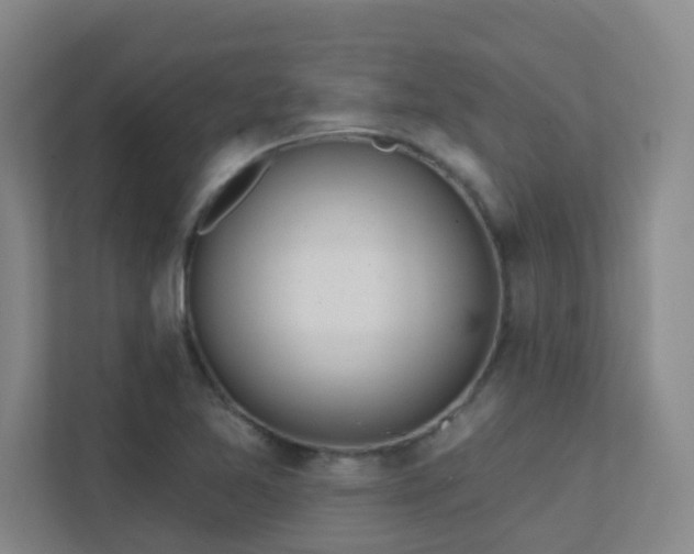 X0000112021365200908101353