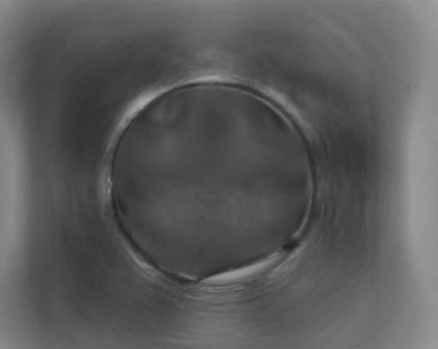 X0000112021367200908101353